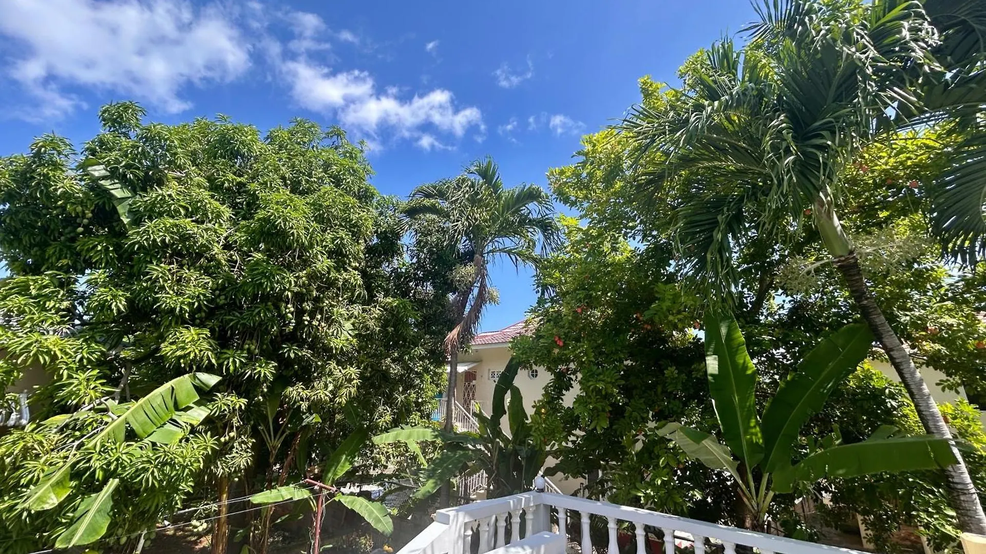 5-Bed Villa With Pool In Runaway Bay Jamaica Cardiff Hall Jamaica